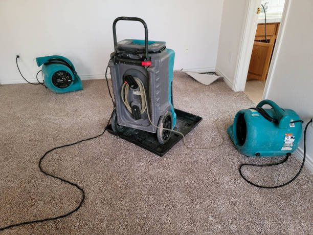Best Commercial water damage restoration  in Notasulga, AL