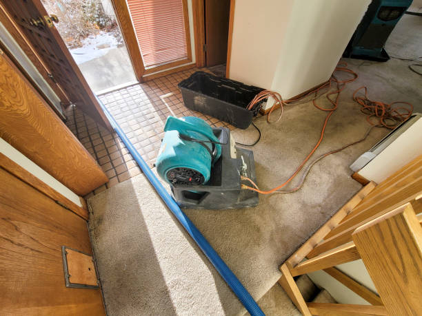 Best Water damage contractors near me  in Notasulga, AL