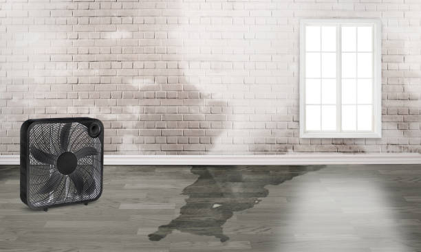 Best Water damage repair service  in Notasulga, AL