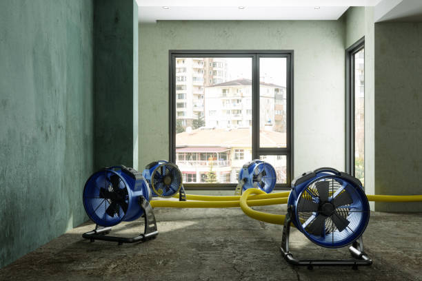 Best Ceiling water damage repair  in Notasulga, AL