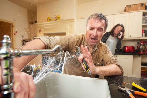 Best Water damage cleanup near me  in Notasulga, AL
